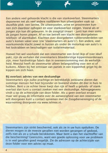 Brochure Steenmarters in en om het huis.pdf - De Zoogdiervereniging