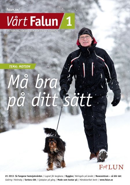Vårt Falun nr 1, 2013 (pdf 2,5 MB) - Falu Kommun