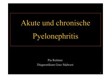 Akute und chronische Pyelonephritis - Diagnostikum Graz