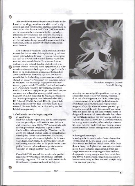1999 - 3 - Orchideeën Vereniging Vlaanderen