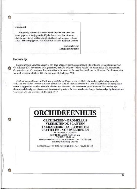 1999 - 3 - Orchideeën Vereniging Vlaanderen