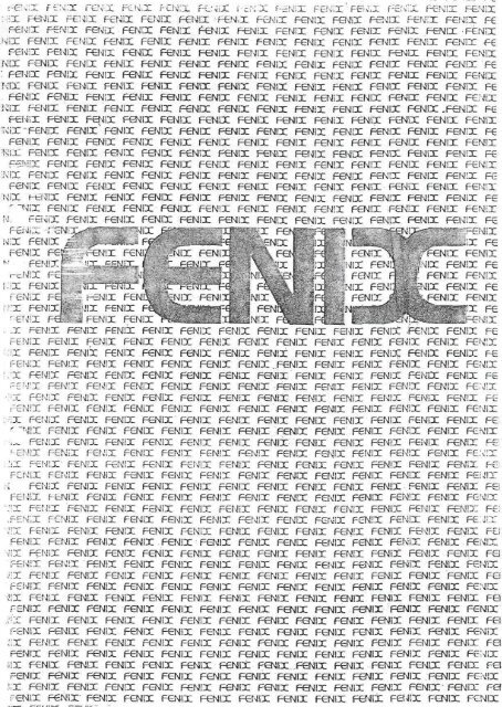 Manual Maxi Fenix MaxiSidorna manual-maxi-fenix-maxisidorna