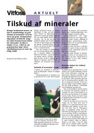 Tilskud af mineraler - Vitfoss