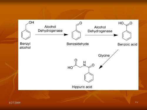 Amphetamine and Related Drugs