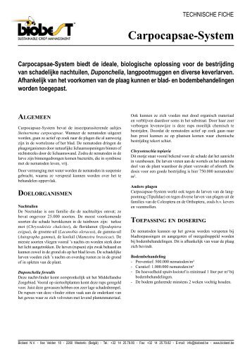 Carpocapsae-System - Biobest