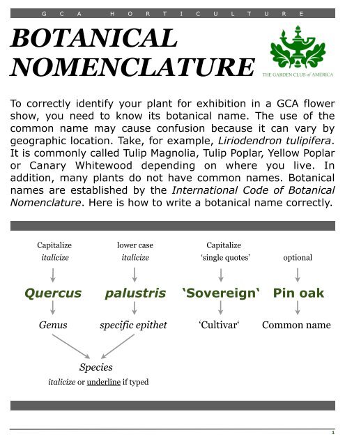 How To Write Botanical Nomenclature Noanett Garden Club   How To Write Botanical Nomenclature Noanett Garden Club 