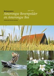 Amerongse Bovenpolder en Amerongse Bos - Utrechts Landschap