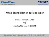 Aftræksproblemer og løsninger - Dansk Gas Forening