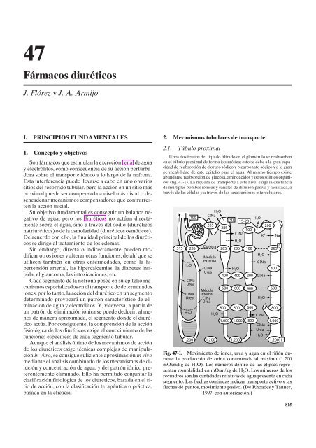 la espironolactona causa micción frecuente la espironolactona causa micción frecuente
