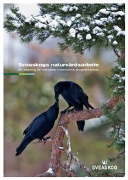 Sveaskogs naturvårdsarbete (pdf, 4MB)