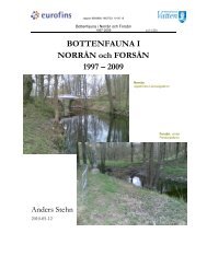 BOTTENFAUNA I NORRÅN och FORSÅN 1997 ... - Stockholm Vatten