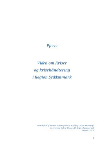 Pjece - Kriser og krisehåndtering - Region Syddanmark