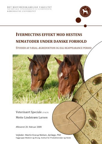 Mit speciale i pdf-version inkl retteliste - MeLLa.dk.