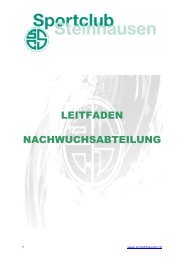 Leitfaden Nachwuchsabteilung SCS - SC Steinhausen