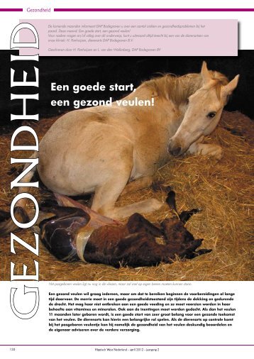 Een goede start, een gezond veulen! - paarden - DAP Bodegraven