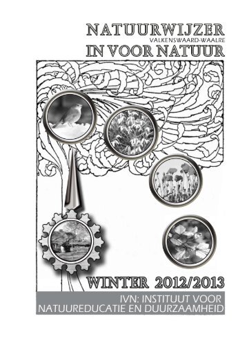 Winter 2012-2013 - Ivn