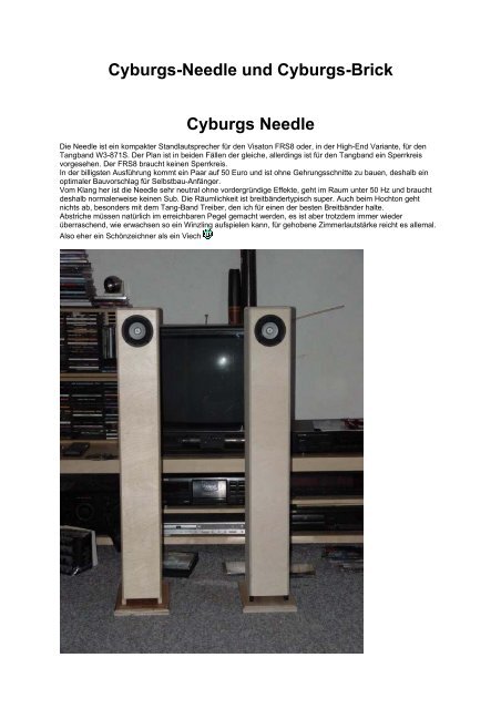 Cyburgs-Needle und Cyburgs-Brick - HiFi Baupläne