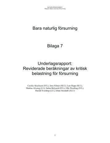 Kritisk belastning