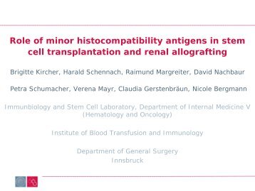 Role of minor histocompatibility antigens in stem cell transplantation ...