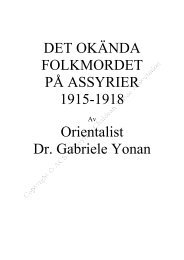 Det-okenda-folkmordet