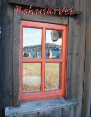 Bohusarvet 2011-2 - Bohusläns hembygdsförbund