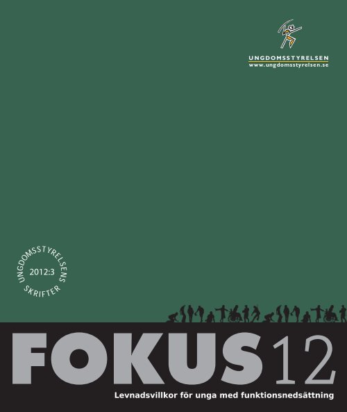 Ungdomsstyrelsen, utredning, Fokus 12