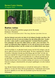 Svensk PDF (233 KB) - Burma.nu