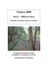 Staatsbosbeheer Natura 2000 - Ecologisch Adviesbureau Maes