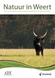 Visie Natuur in Weert (Consortium AHV).pdf - Gemeente Weert