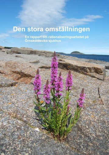 Den stora omställningen - Landstinget Västernorrland