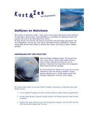 Dolfijnen en Walvissen - Kustgids.nl