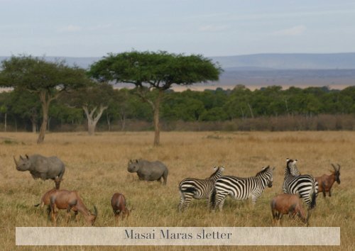 Elefanternes Afrika - Livingstone Safari