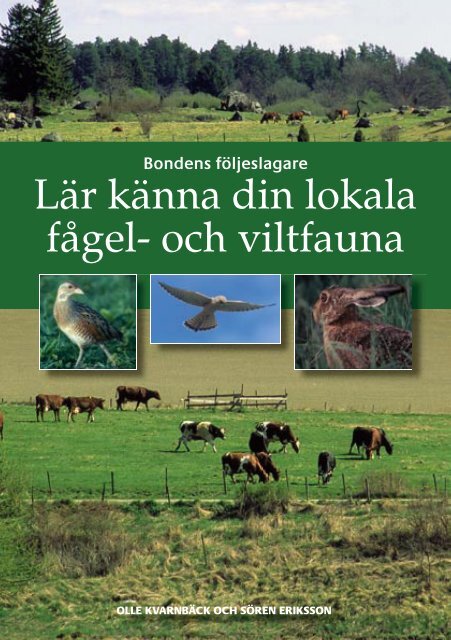 Lär känna din lokala fågel- och viltfauna (777 kb, pdf) - HS 