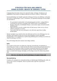 Strategi för särskilt stöd - Hjo kommun