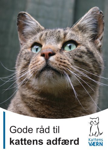 Gode råd til kattens adfærd - Kattens Værn