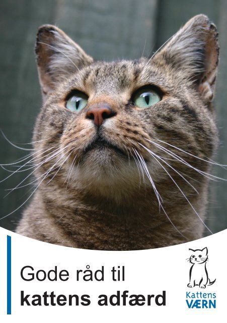 Gode råd til kattens adfærd - Kattens Værn