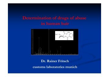 Determination of drugs of abuse in human hair - Tulli