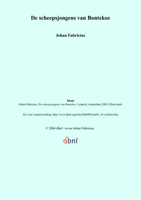 De scheepsjongens van Bontekoe (Fabricius)