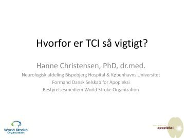 Konference 29.10.12 oplæg Hanne Christensen - Hjernesagen