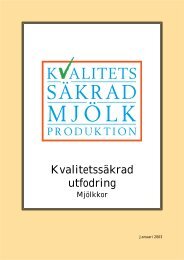 KIM Utfodring mjölkkor - Svensk Mjölk