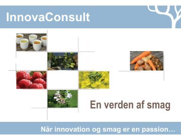 smagstest som redskab - lisbeth ankersen, innovaconsult.pdf