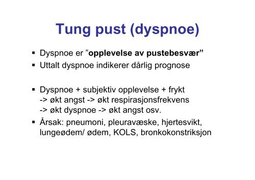 4 seksjon Symptomlindrende behandling