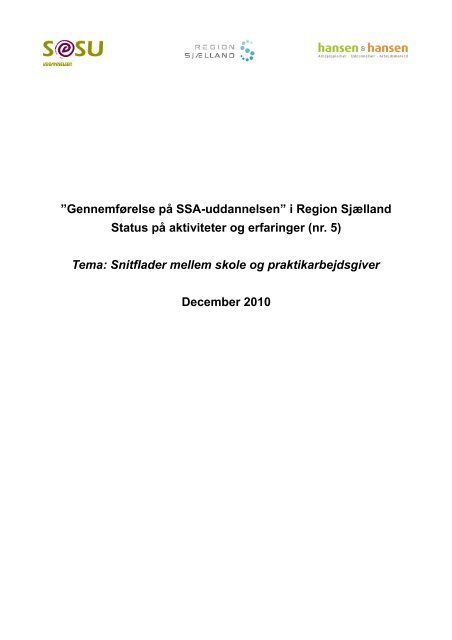 Snitfladerne mellem skole og praktikarbejdssteder - SOSU Nykøbing ...
