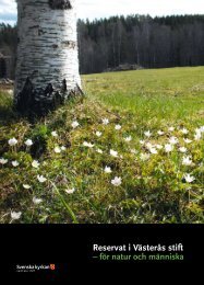 Kyrkoreservat - Västerås Stift Skog AB