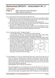 GentechnoLOGISCH - Arbeitsblatt Nr. 2 - Forschung für Leben