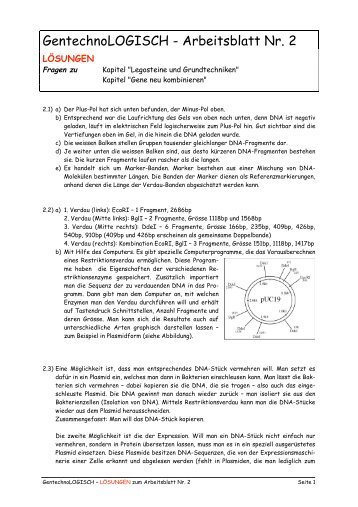 GentechnoLOGISCH - Arbeitsblatt Nr. 2 - Forschung für Leben