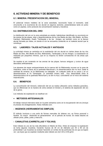 6. ACTIVIDAD MINERA Y DE BENEFICIO