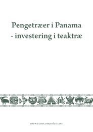 Pengetræer i Panama - investering i teaktræ