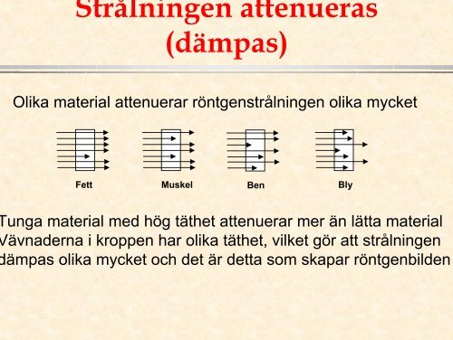 Birgitta Hansson_2_0,8M.pdf