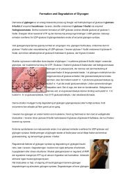 Formation and Degradation of Glycogen - Asma Bashir